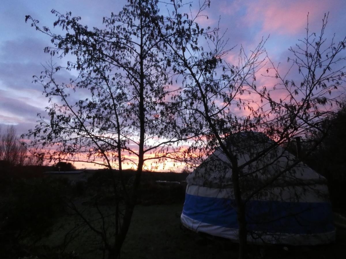 Inch Hideaway Eco Camping Whitegate  Esterno foto