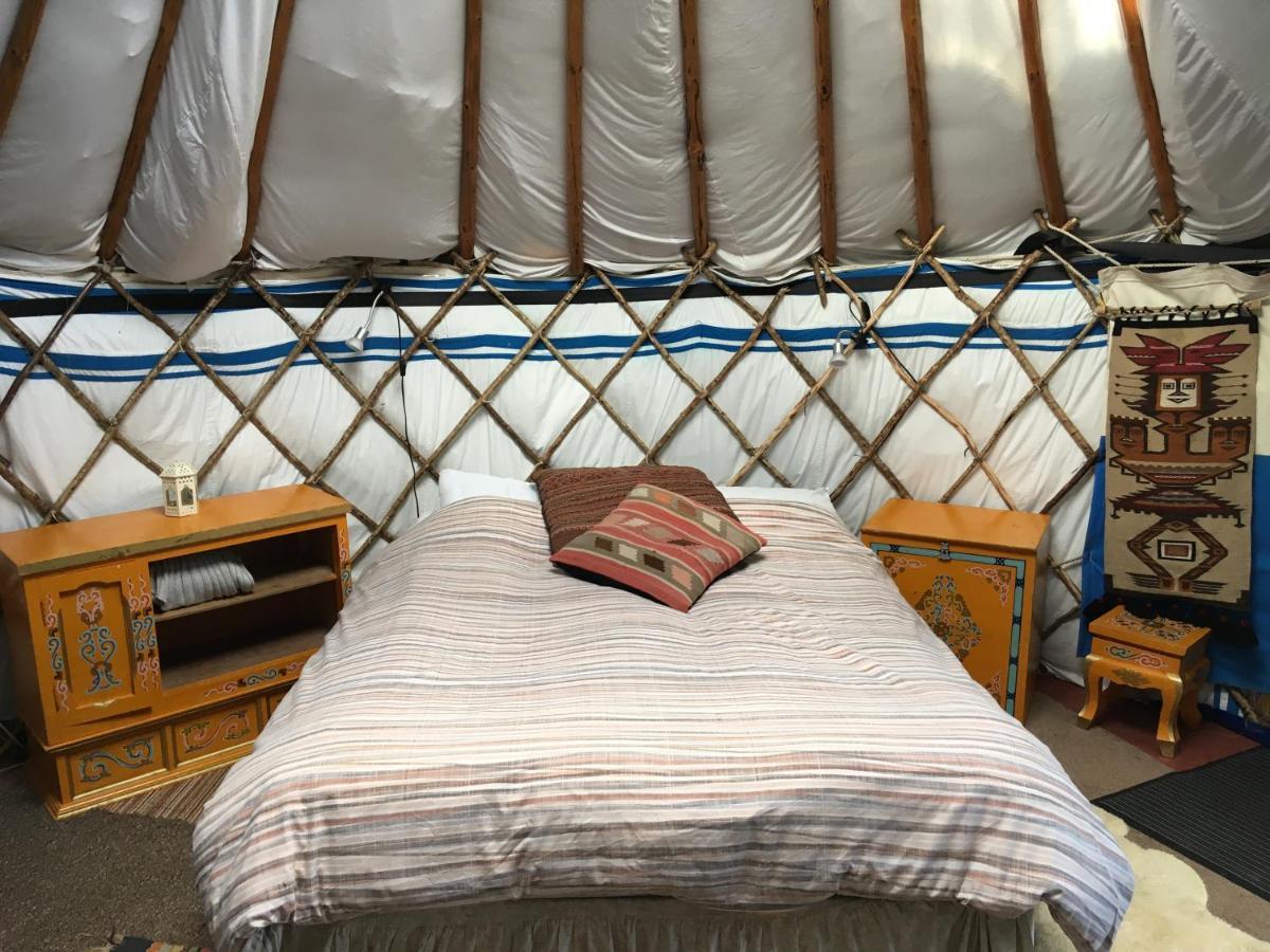 Inch Hideaway Eco Camping Whitegate  Esterno foto