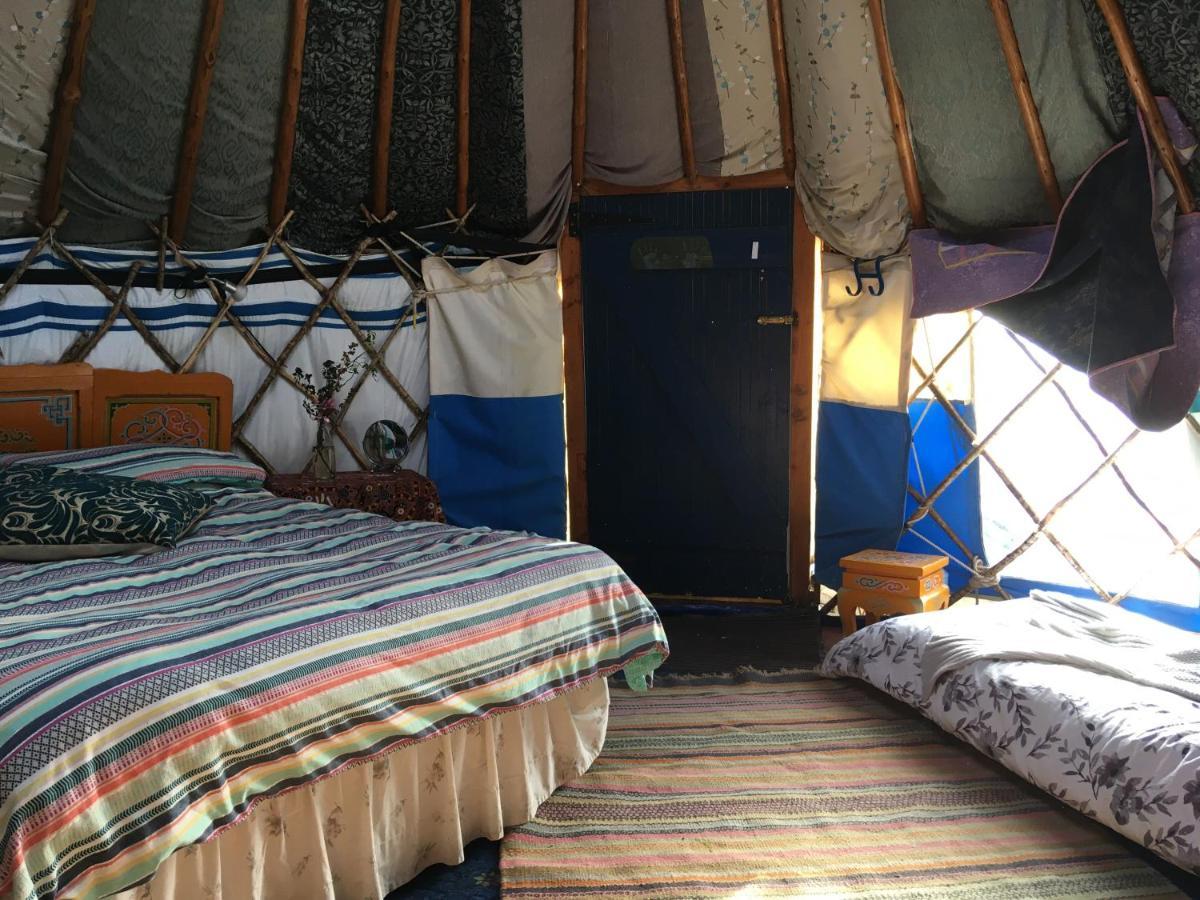 Inch Hideaway Eco Camping Whitegate  Esterno foto