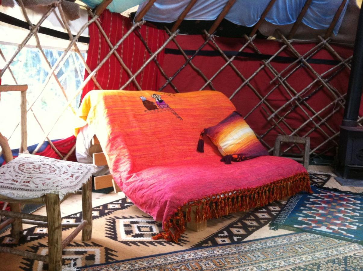 Inch Hideaway Eco Camping Whitegate  Esterno foto