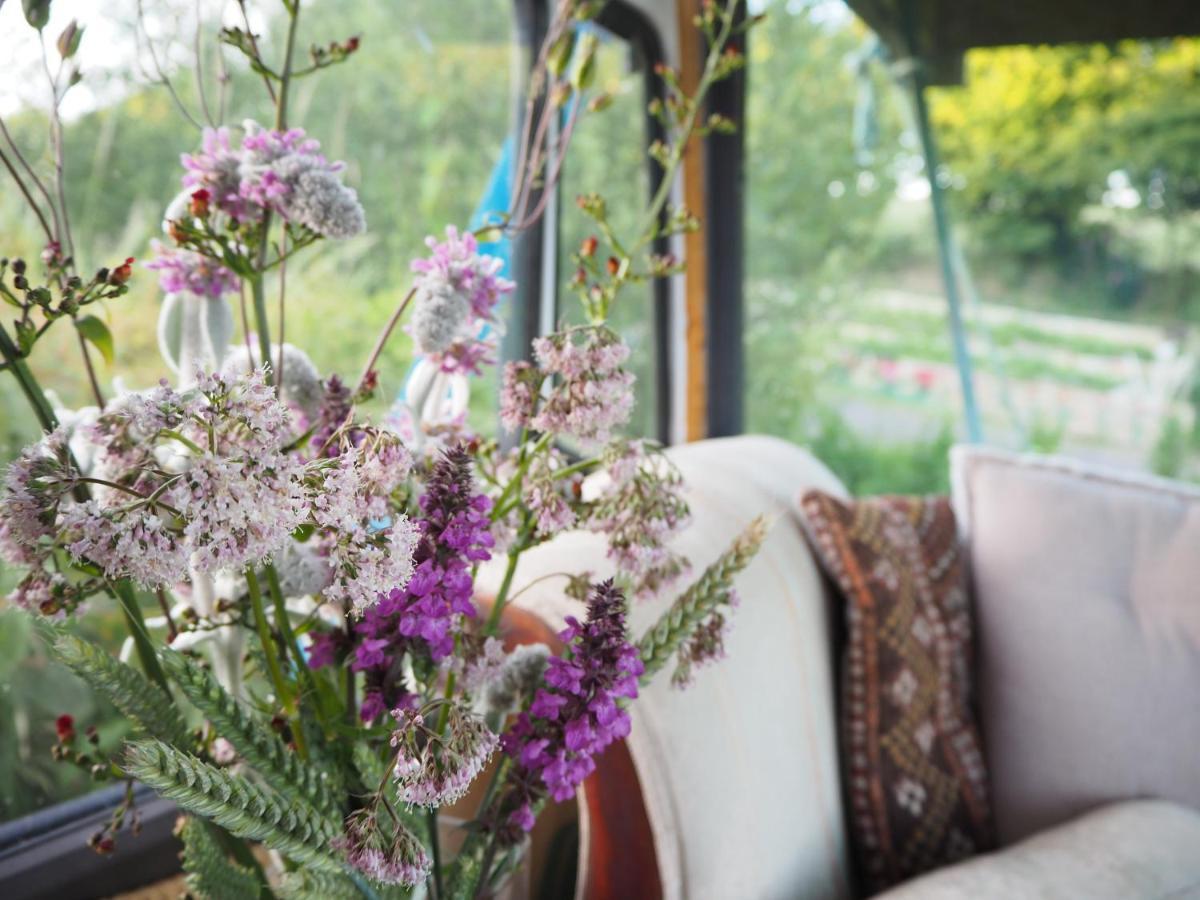 Inch Hideaway Eco Camping Whitegate  Esterno foto